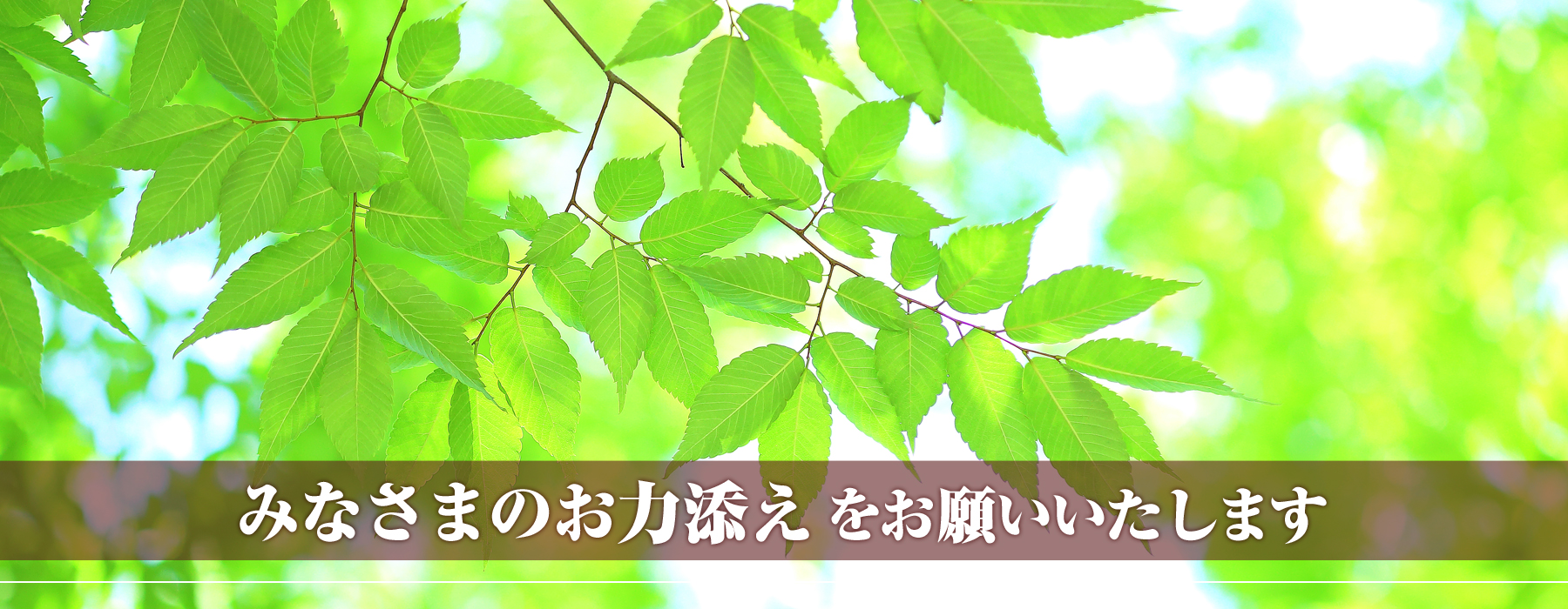 みなさまのお力添えをお願いいたします